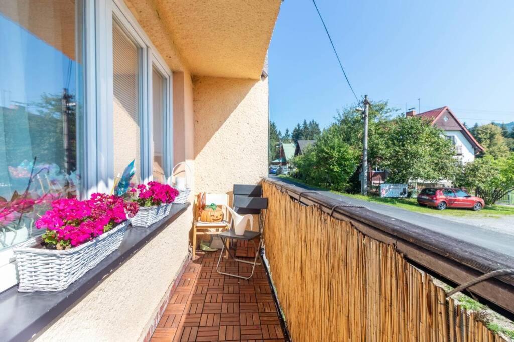 Apartmán Staré Hamry Kültér fotó